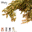 Zooply Millet Grass - Dried Flowers for Hamsters and Other Rodents - 100 grams