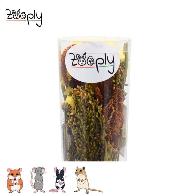 Zooply Zomer Boeket - Decoratief boeket van gedroogde bloemen en grassen voor hamsters, gerbils, muizen en ratten - 100 gram