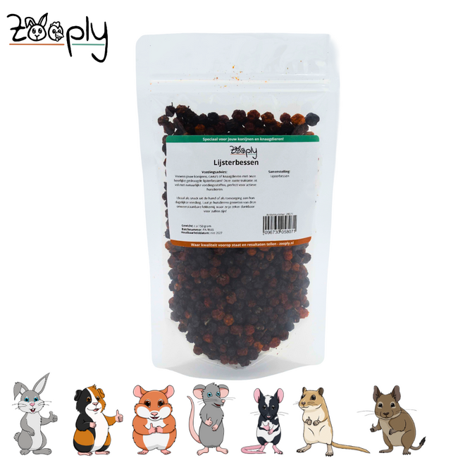 Zooply Rowan Berries - Dried fruit for rabbits and rodents - Healthy snack