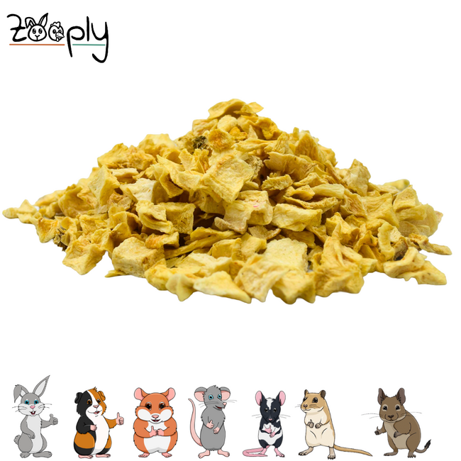 Zooply Pastinaak - Natural Snack for Rabbits, Guinea Pigs and Small Rodents - 75 grams
