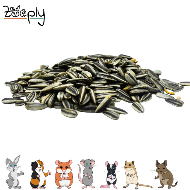 Zooply Sunflower Seeds - Dried Seeds for Rodents - 200 grams