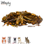 Zooply Grasshoppers - Dried insects for rodents - Healthy snack