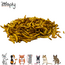 Zooply Mealworms for Hamster, Rat, Gerbil, Mouse and Degu - Natural Snack - 80 grams