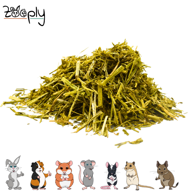 Zooply Alfalfa - Dried herbs for rabbits and rodents - Healthy snack