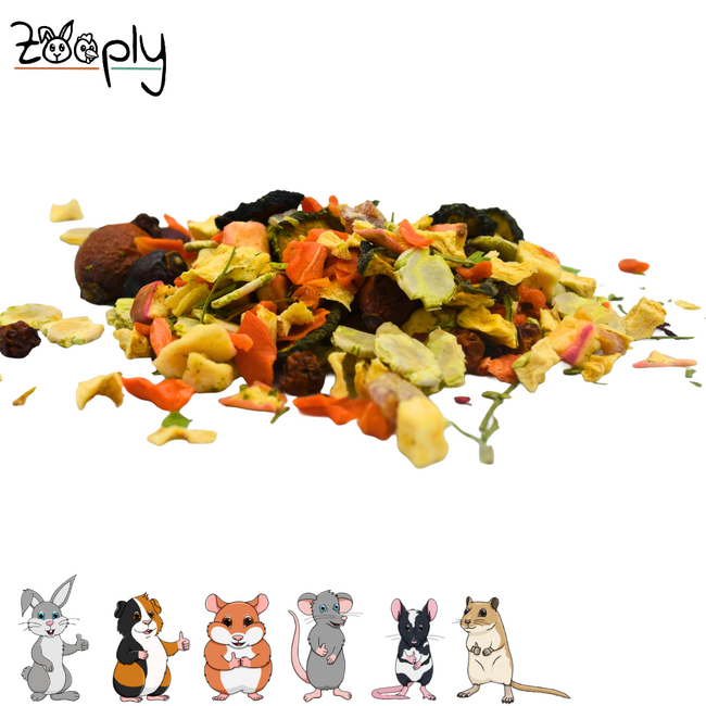 Zooply Lentemix Snack voor konijnen, cavia’s en kleine knaagdieren – natuurlijke snack – 350 gram