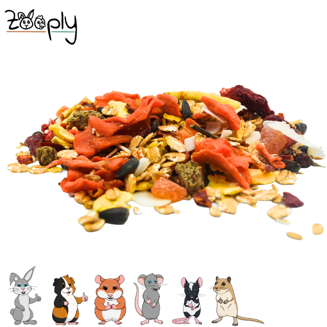 Zooply Summer Mix Snack for rabbits, guinea pigs and small rodents – natural snack – 350 gram