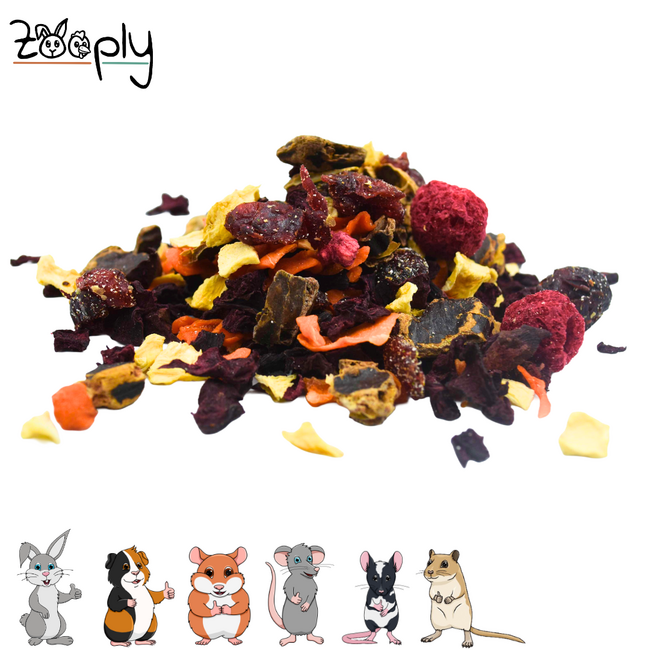 Zooply Herfstmix Snack voor konijnen, cavia’s en kleine knaagdieren – natuurlijke snack – 350 gram