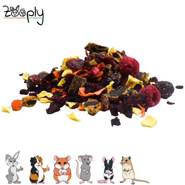 Zooply Herfstmix Snack for Rabbits, Guinea Pigs and Small Rodents - Natural Snack - 350 grams