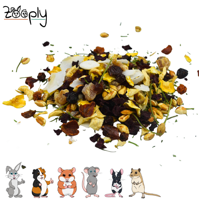 Zooply Wintermix Snack for Rabbits, Guinea Pigs and Small Rodents - Natural Snack - 350 grams