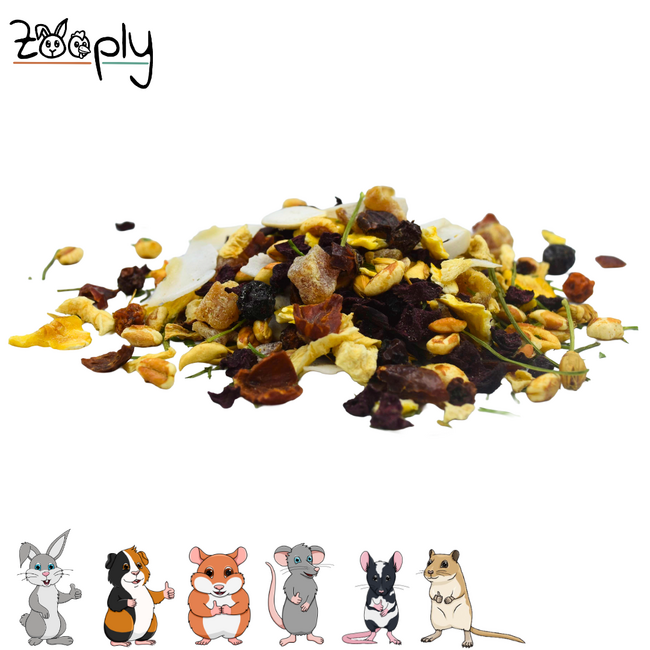 Zooply Wintermix Snack for Rabbits, Guinea Pigs and Small Rodents - Natural Snack - 350 grams