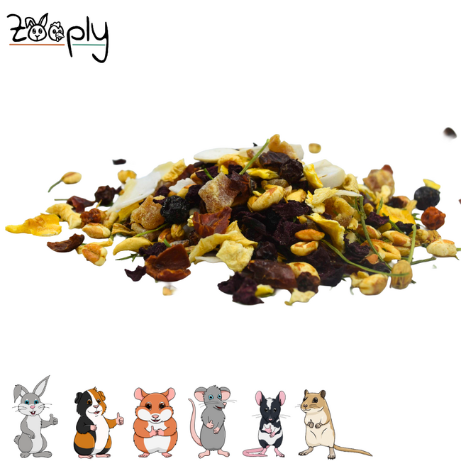 Zooply Winter Mix Snack for rabbits, guinea pigs and small rodents – natural snack – 350 gram