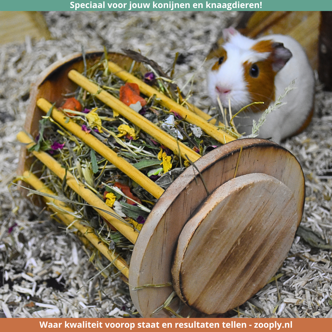 Kruidenmixen door het hooi van je konijnen of cavia's?  Waarom het zoveel meer is dan een snack!