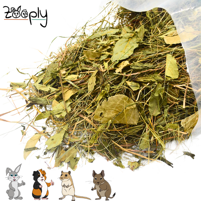 Zooply Herbal Hay with Bell Pepper and Parsley - Hay fresh from the field - Conveniently packaged - 1 kg