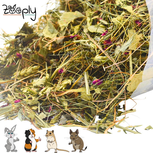 Zooply Herbal Hay with Leaves & Herb Mix - Hay fresh from the field - Conveniently packaged - 1 kg