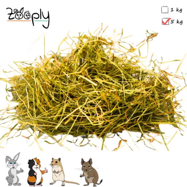 Zooply Weidehooi - Hooi voor konijnen en cavia's - 5 kg