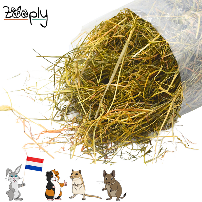 Zooply Meadow Hay - Hay fresh from the field - Conveniently packed in a bag - 5 kg