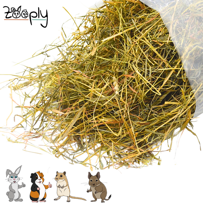 Zooply Meadow Hay - Hay fresh from the field - Conveniently packed in a bag - 5 kg