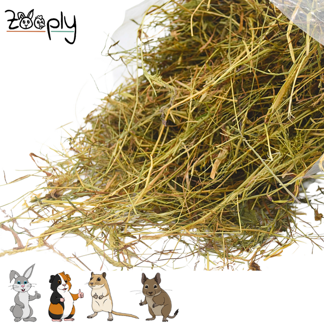Zooply German Herbal Hay - Hay fresh from the field - Conveniently packed in a bag - 5 kg
