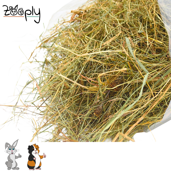 Oostenrijks Alphenhooi - 1 kg