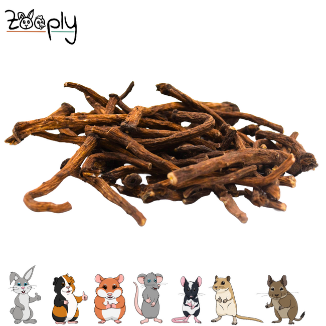 Zooply Dandelion Roots - Dried branches for rabbits and rodents - Good for the teeth