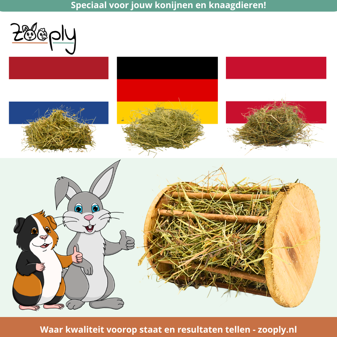 Welk hooi kies je voor je konijnen of cavia's? De drie soorten uitgelegd