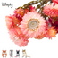 Zooply Strobloem Roze - Droogbloemen voor hamsters en andere knaagdieren - 70 gram