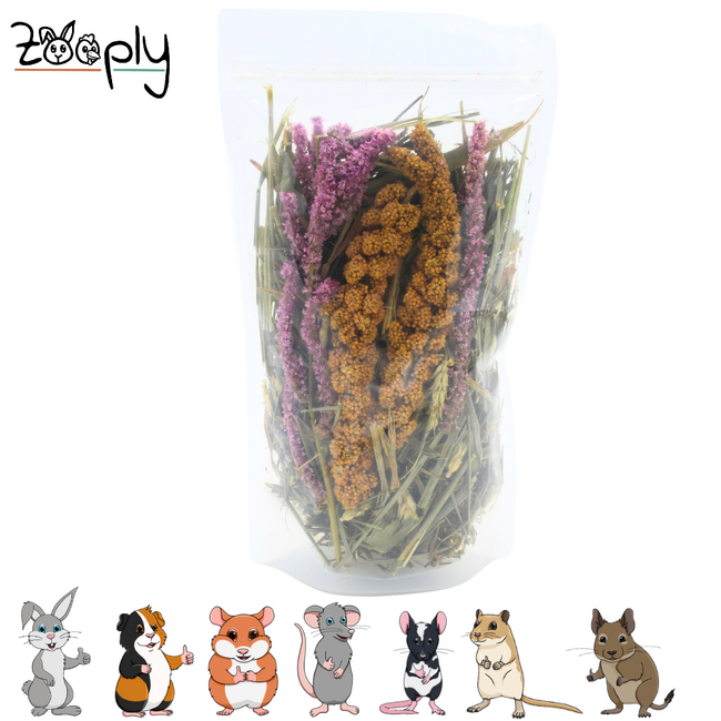 Zooply Heideveld - Natural Enrichment for Rodents - 85 grams