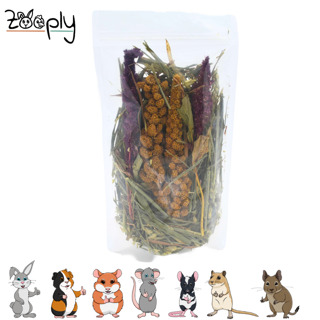 Zooply Rietveld - Natural Enrichment for Rodents - 85 grams
