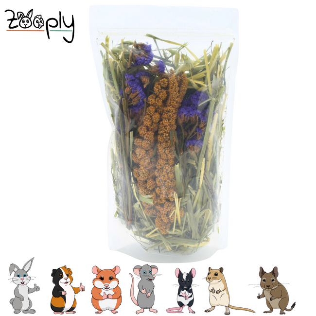 Zooply Dune field – natural enrichment for rodents – 85 gram