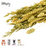 Zooply Weidegras Boeket - Decoratief boeket van gedroogde bloemen en grassen voor hamsters, gerbils, muizen en ratten - 100 gram