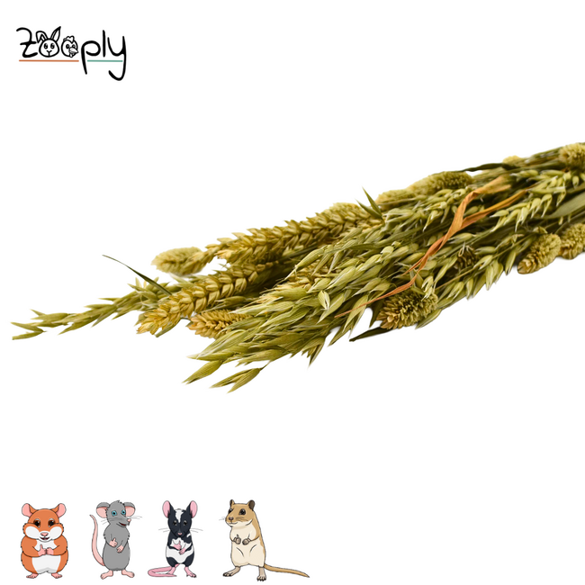 Zooply Meadow Grass Bouquet - Dried Flowers and Grasses for Hamsters and Other Rodents - 100 grams