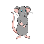 Rats