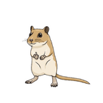 Gerbils