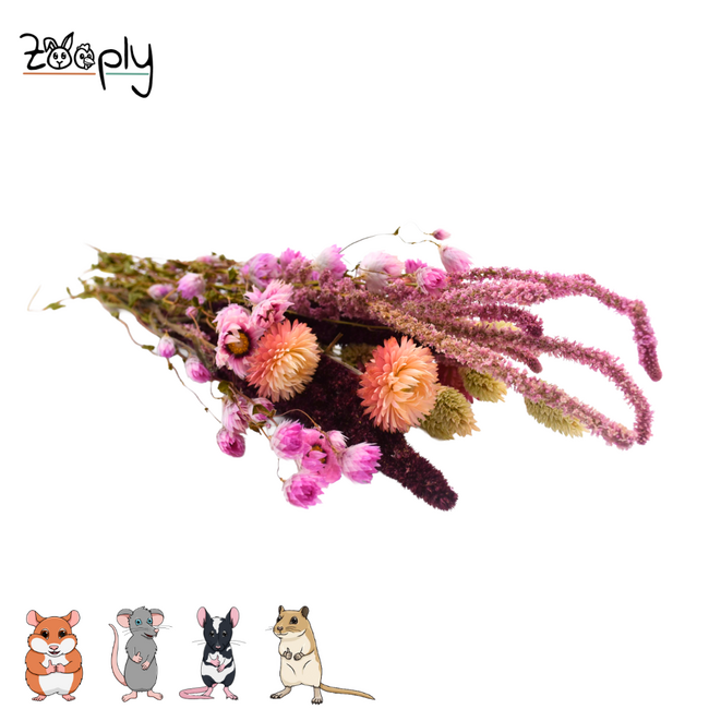 Zooply Lente Boeket - Decoratief boeket van gedroogde bloemen en grassen voor hamsters, gerbils, muizen en ratten - 100 gram