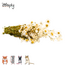Zooply Daisy White - Dried Flowers for Hamsters and Other Rodents - 70 grams