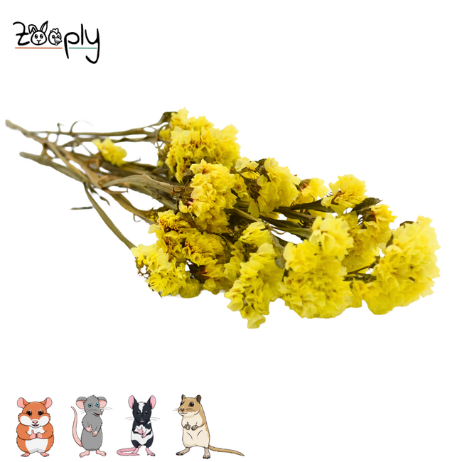 Zooply Strandlavendel Geel - Droogbloemen voor hamsters en andere knaagdieren - 70 gram