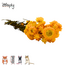 Zooply Strobloem Geel - Droogbloemen voor hamsters en andere knaagdieren - 70 gram