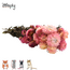 Zooply Strobloem Roze - Droogbloemen voor hamsters en andere knaagdieren - 70 gram