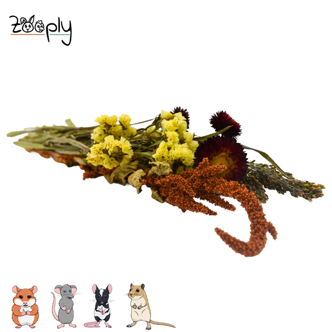 Zooply Zomer Boeket - Decoratief boeket van gedroogde bloemen en grassen voor hamsters, gerbils, muizen en ratten - 100 gram