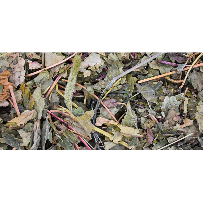Zooply Strawberry Leaf - Dried Herb for Rabbits, Guinea Pigs and Rodents - 300 grams