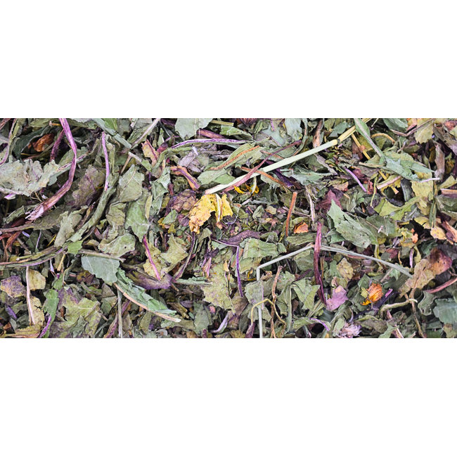 Zooply Echinacea - Dried Herb for Rabbits, Guinea Pigs and Rodents