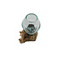 Graafbak / zandbad - Glas op Gamal wortel - 12 cm