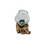 Graafbak / zandbad - Glas op Gamal wortel - 12 cm