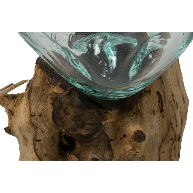 Graafbak / zandbad - Glas op Gamal wortel - 12 cm
