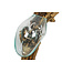 Graafbak / zandbad - Glas op Gamal stam - 20 cm