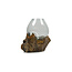 Graafbak / zandbad - Glas op Gamal wortel - 20 cm