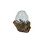 Graafbak / zandbad - Glas op Gamal wortel - 20 cm