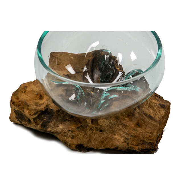 Voerbak / zandbad - Glas op Gamal wortel - 15 cm