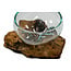 Voerbak / zandbad - Glas op Gamal wortel - 15 cm