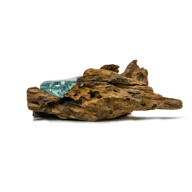 Voerbak / zandbad - Glas op Gamal wortel - 25 cm